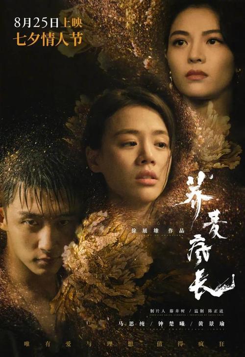 办假的克罗地亚签证